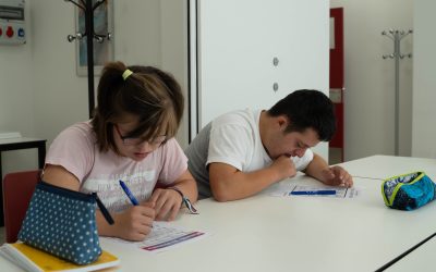 Diseño Universal de Aprendizaje vs. Educación Tradicional