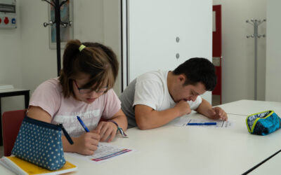 Educación inclusiva en la formación de personas con discapacidad