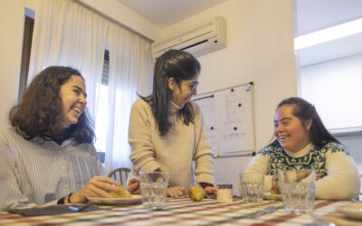 Viviendas tuteladas para personas con discapacidad intelectual: el caso de la Comunidad de Madrid
